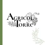 Olive Nere Peranzana in Salamoia (4 confezioni) - immagine 5