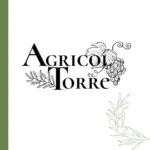 Olive Nere Peranzana in Salamoia - immagine 6