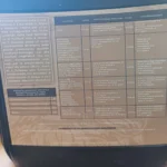 DIONISIO estratto liquido di erba medica, alghe e melasso 5 LT Fertil Company - immagine 2